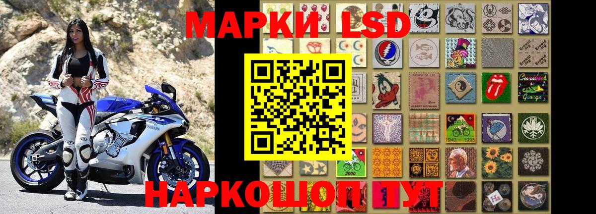 Наркотические марки 1500мкг  Наркотические марки 1500мкг  Вход с VPN  Малгобек 