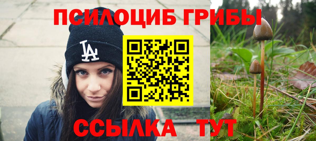 Псилоцибиновые грибы мицелий Малгобек