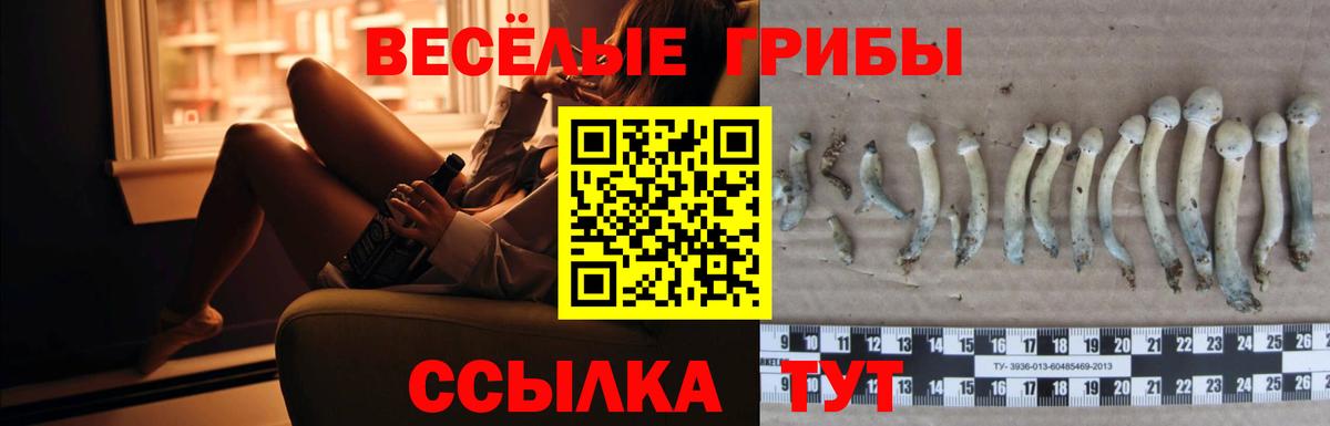 Псилоцибиновые грибы Magic Shrooms  где купить наркотик  Малгобек  Галлюциногенные грибы мухоморы  Вход с VPN 
